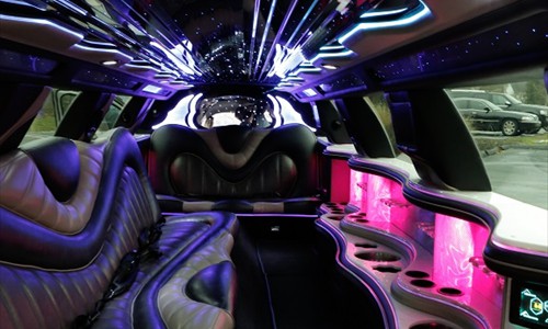 fourteen 14 passenger stretch limo inside